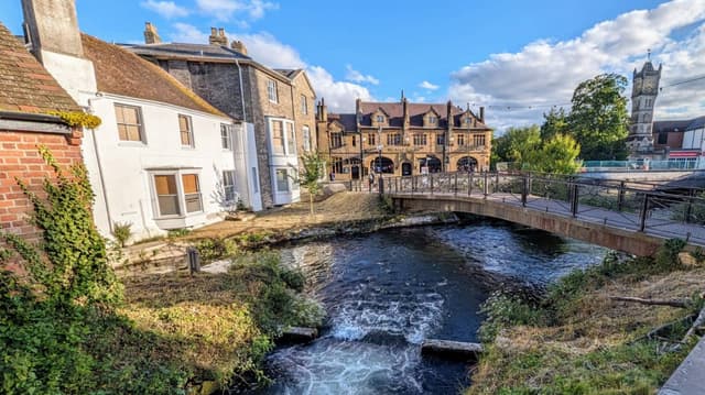 Photo 6 by Barry P. (6/30/24)