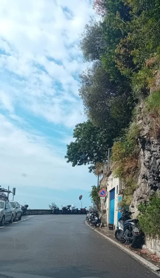 Photo 3 by Emmi N. (5/26/25)