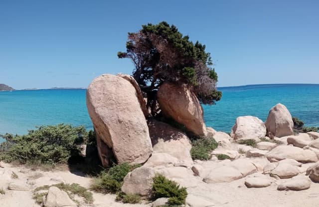 Photo 6 by Robert W. (7/18/25)