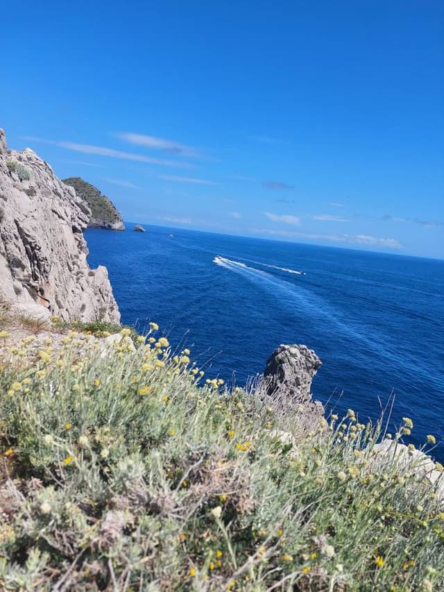 Photo 7 by Jaroslava S. (5/6/24)