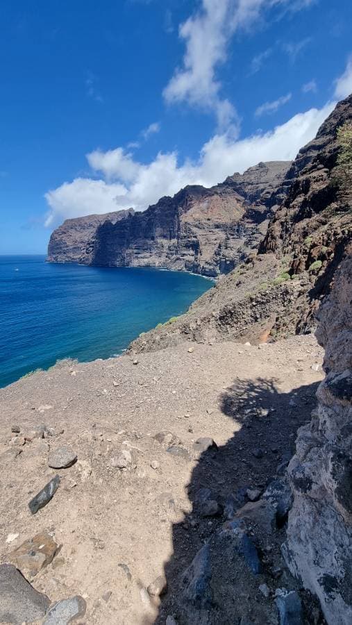 Photo 2 by ZIVILE K. (4/4/25)