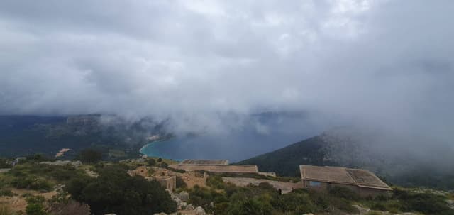 Photo 10 by Doychin D. (4/19/24)