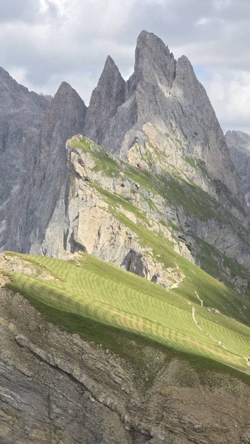 Photo 7 by Phuong T. (8/27/24)