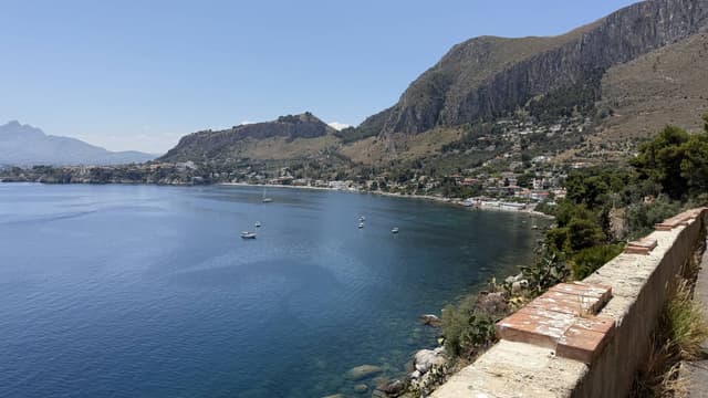 Photo 10 by John K. (7/4/25)