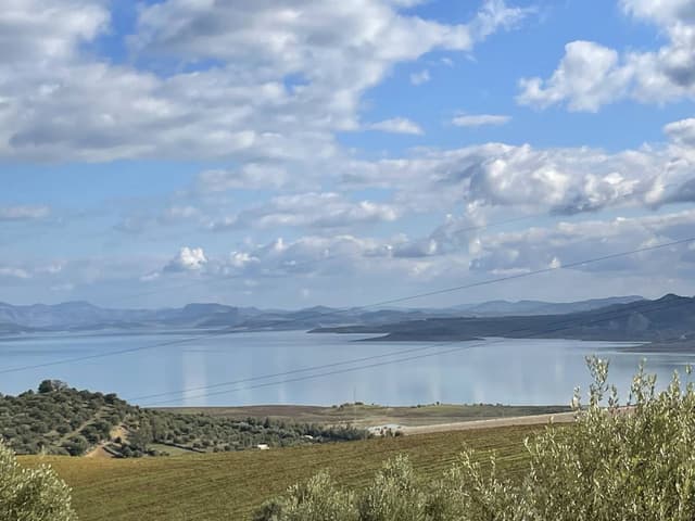 Photo 4 by Hamad A. (1/15/25)