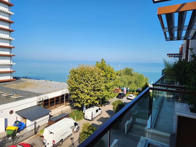 Photo 2 by shlomo T. (8/27/23)