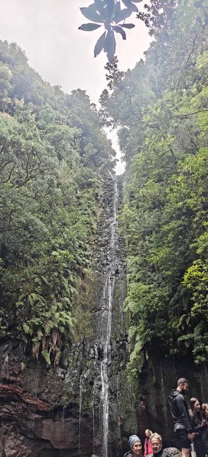 Photo 5 by Oleksandr V. (12/7/25)