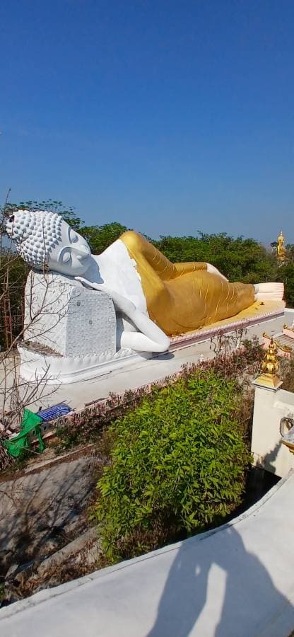 Photo 12 by steven M. (3/22/26)