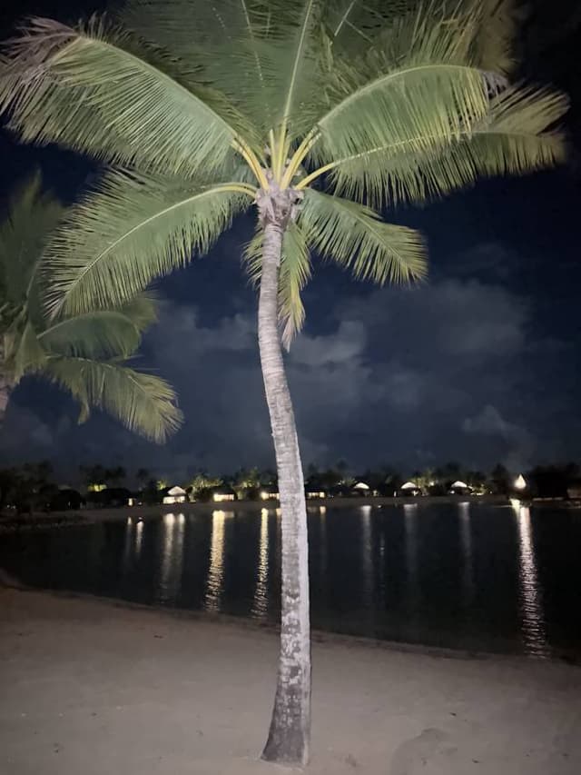 Photo 5 by Rachael P. (2/24/25)