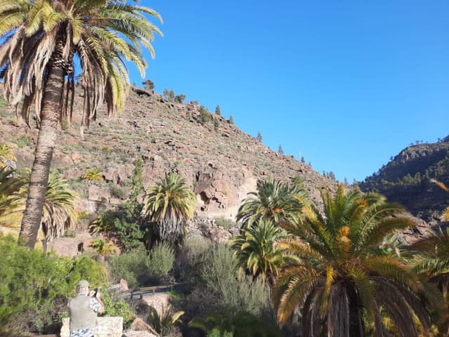 Photo 2 by Paul C. (2/11/25)