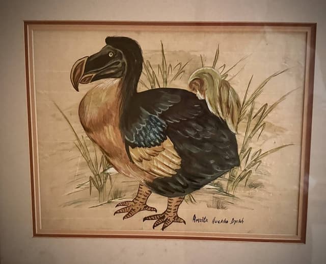 Photo 6 by Michael F. (1/16/25)