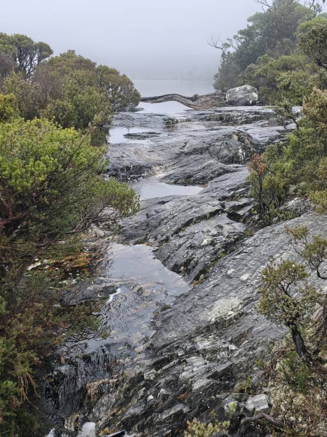 Photo 5 by Christine A. (4/29/25)