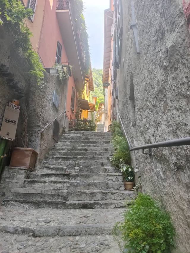 Photo by kenny N. (6/20/25)