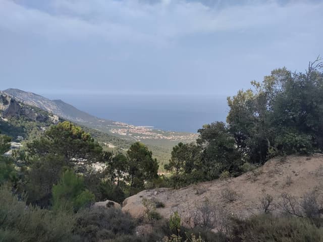 Photo 8 by Cristian B. (7/16/24)