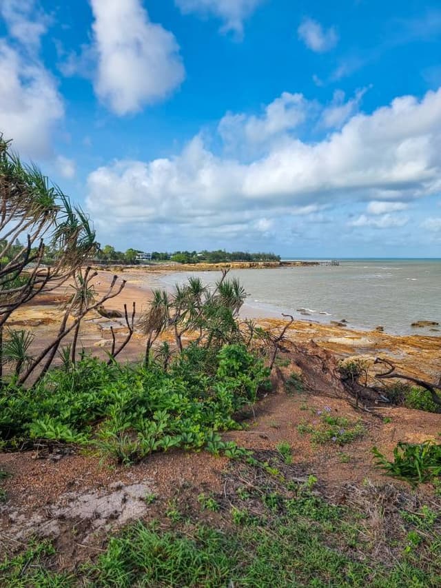 Photo by Ali K. (12/29/23)