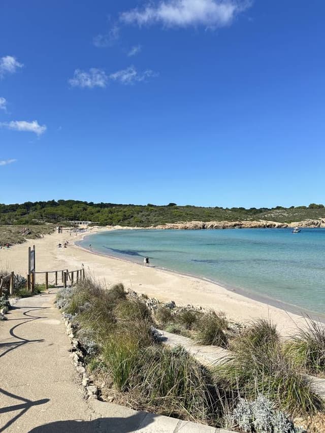 Photo 4 by Adelina T. (10/10/24)