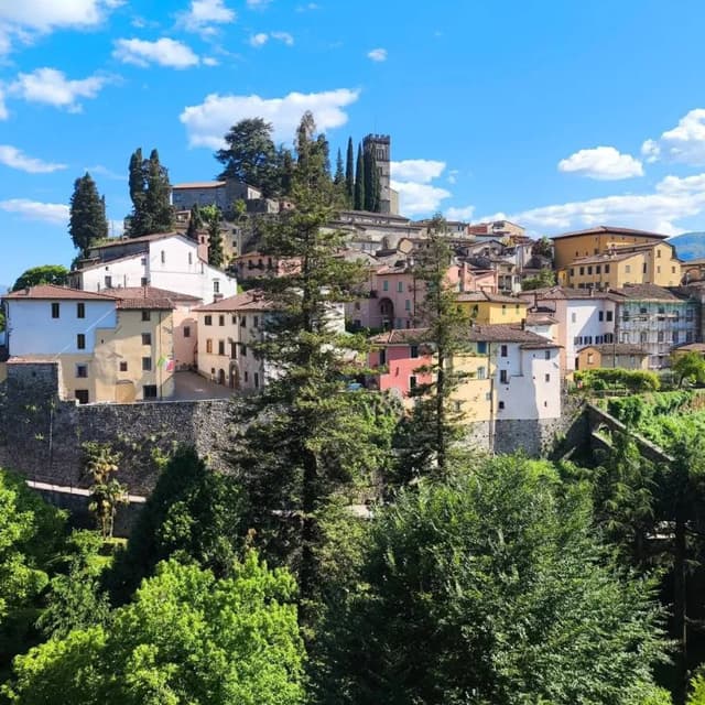 Photo by OLYMPIA S. (5/25/25)