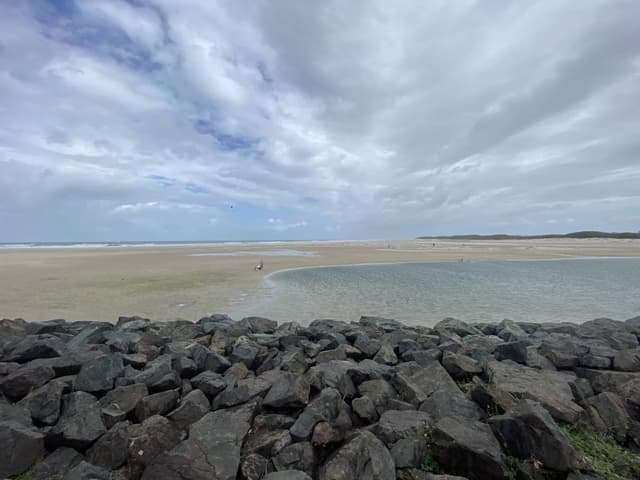 Photo 3 by Emma P. (3/11/25)