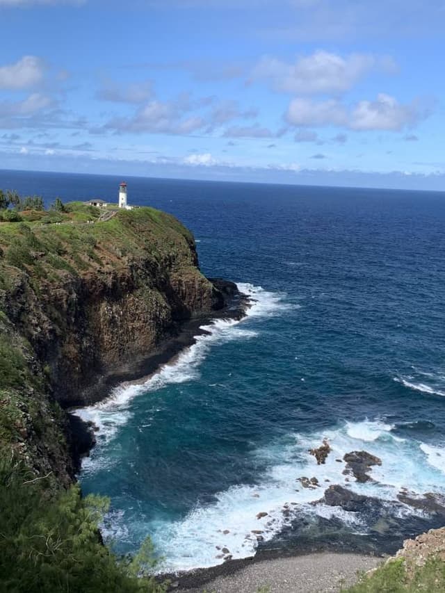 Photo 5 by Melanie F. (11/18/23)