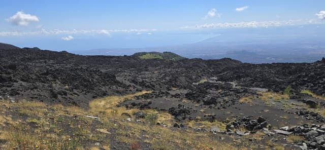 Photo 2 by Vadym K. (9/26/25)