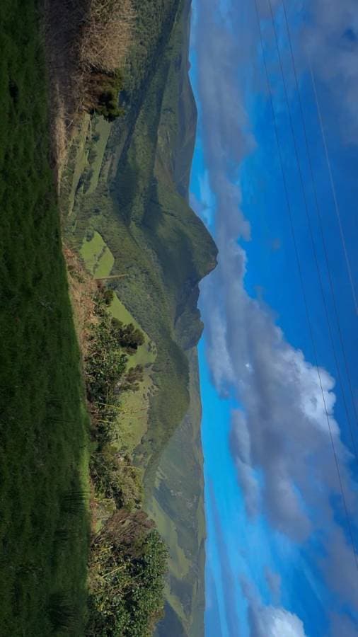 Photo 3 by gerwin B. (2/3/25)