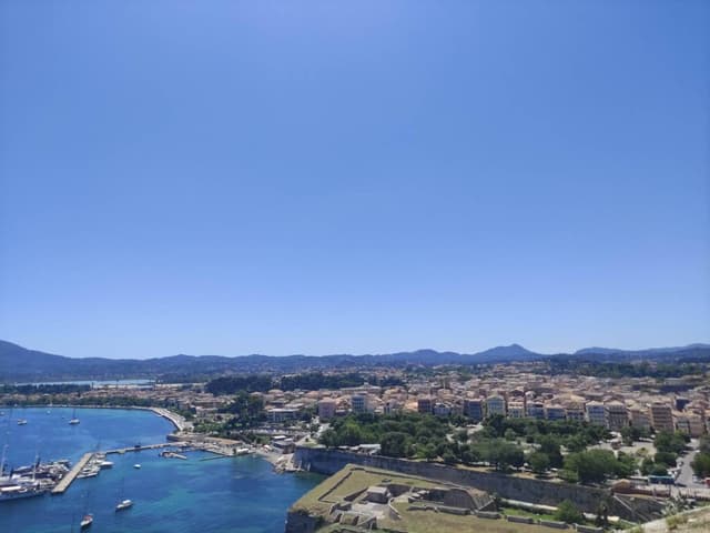 Photo 5 by Marius K. (6/17/24)