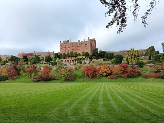 Photo 3 by Alfred G. (10/22/25)