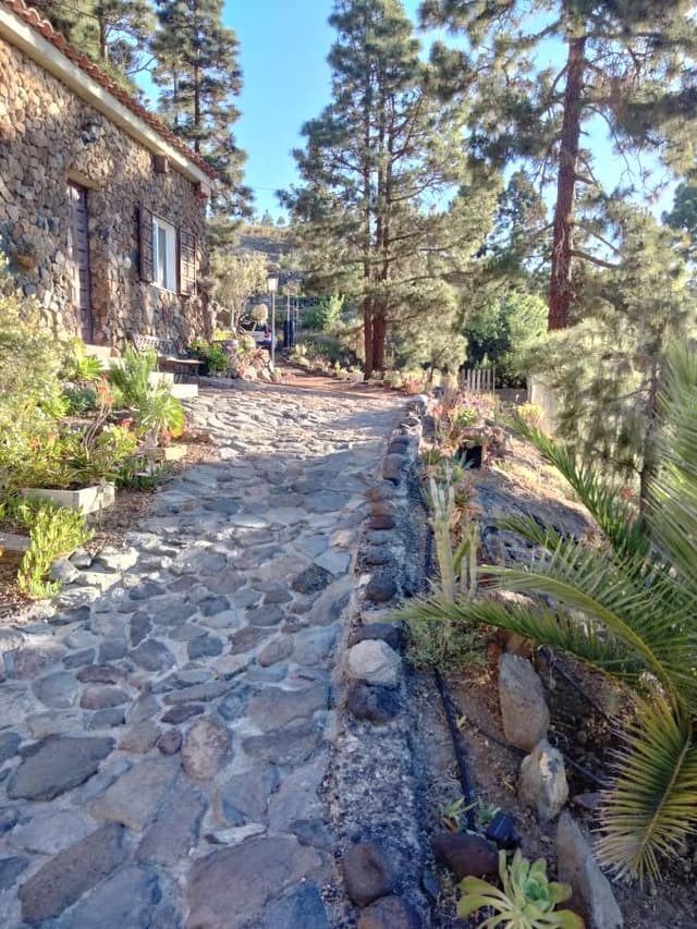 Photo 2 by Abdelkader B. (5/4/23)