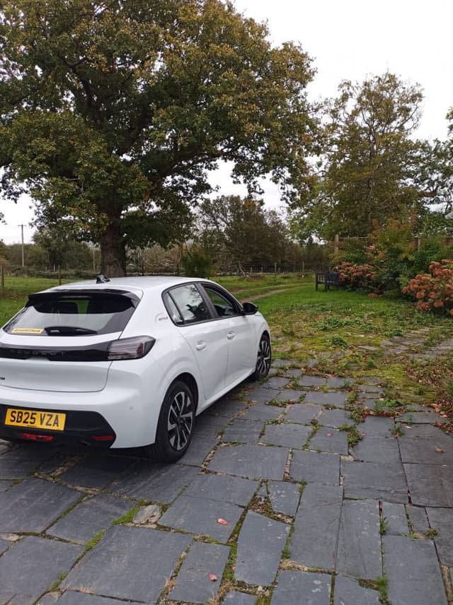 Photo 4 by Alfred G. (10/22/25)