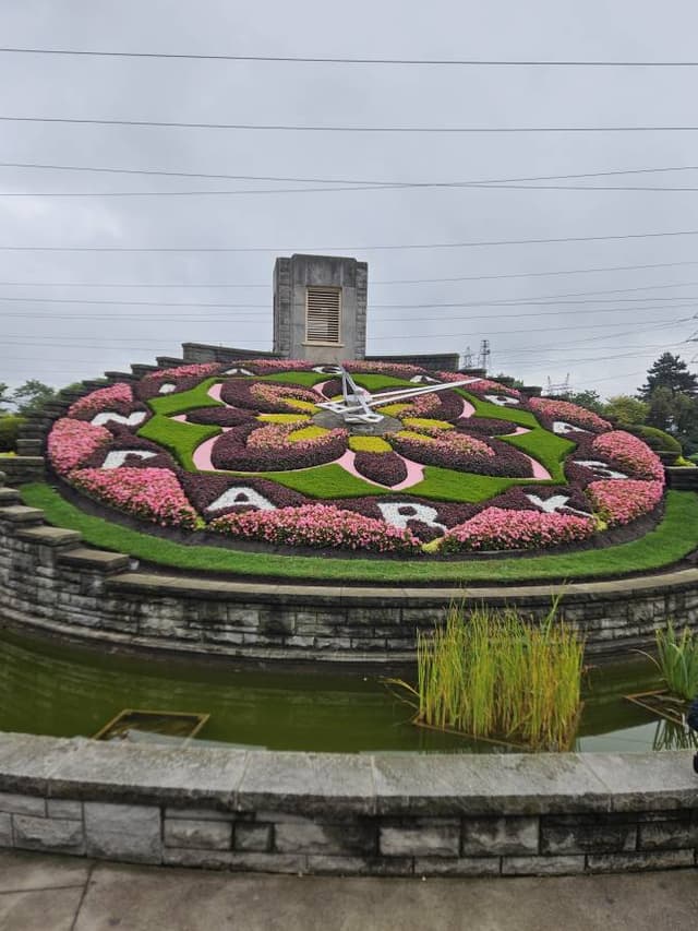 Photo 6 by meir M. (9/25/24)