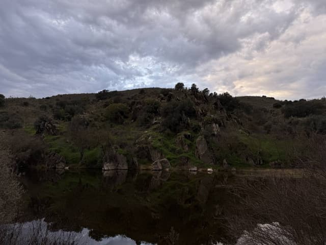 Photo 3 by Joao Carlos N. (11/28/24)