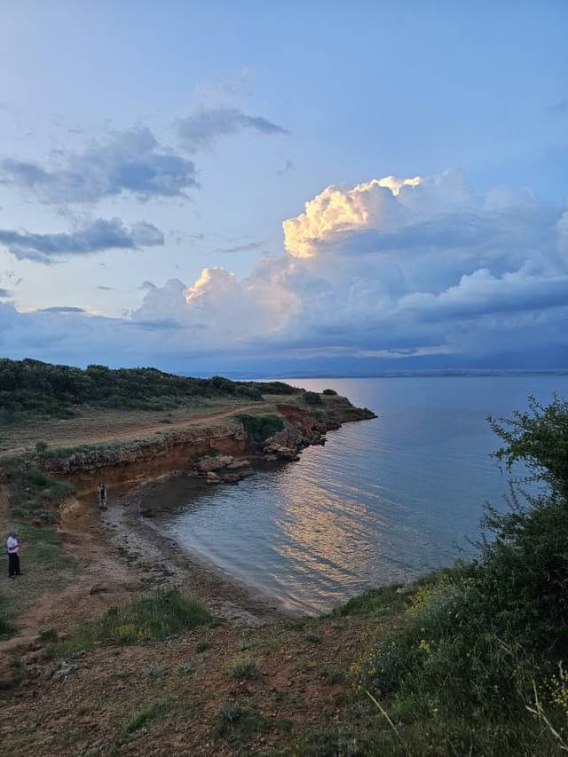 Photo 8 by Anzhela A. (7/11/24)