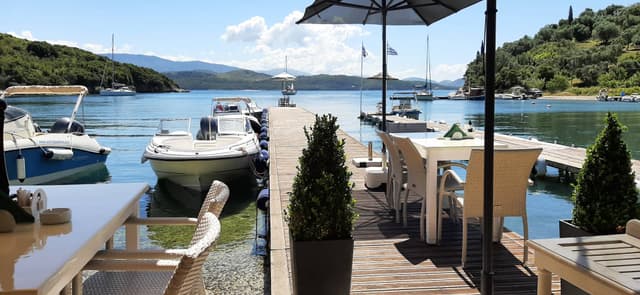 Photo by Paul C. (5/31/24)