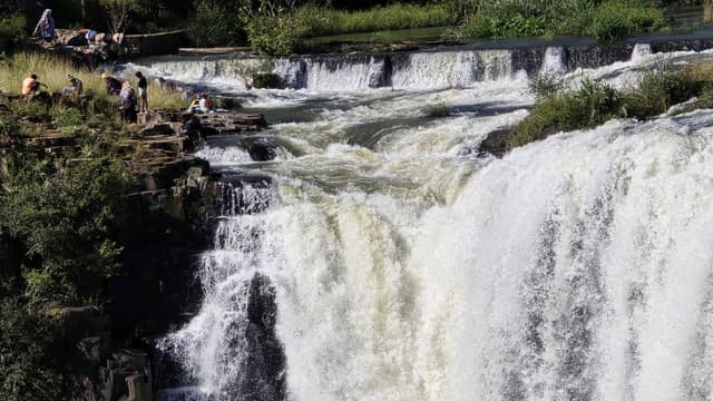 Photo 4 by Michael W. (4/12/25)