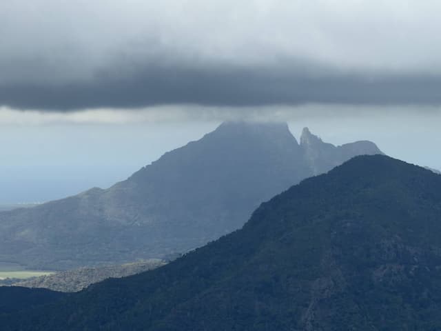 Photo by Kim H. (11/25/25)