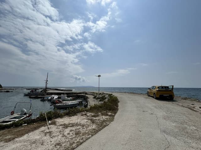 Photo by Iryna S. (9/4/25)