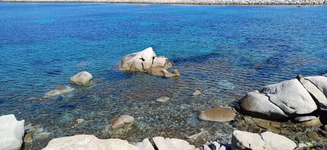 Photo 3 by Sergio B. (3/13/25)