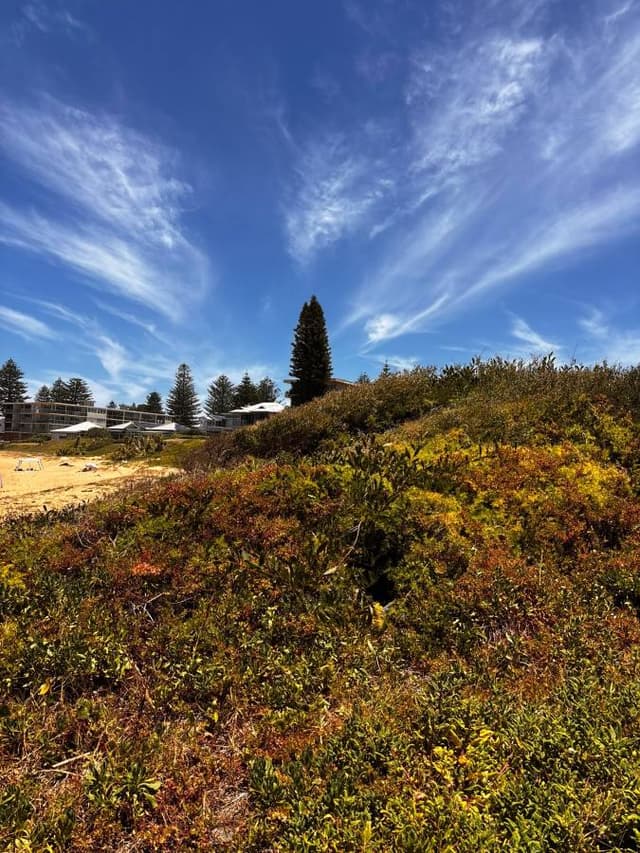 Photo 8 by Paul K. (1/7/26)