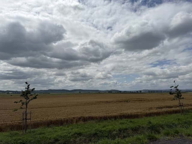 Photo 5 by Kenneth B. (8/2/25)