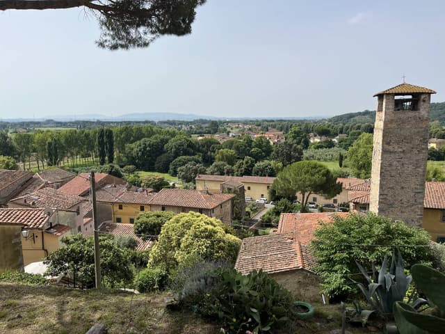 Photo 8 by Mikhail S. (7/2/24)