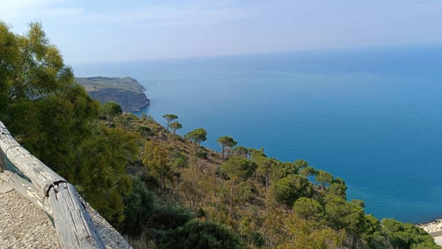 Photo 4 by Martin M. (6/11/23)