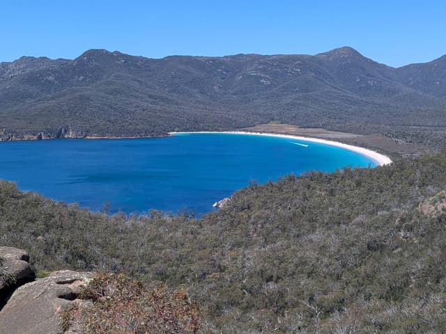 Photo 4 by Bruce D. (12/15/25)