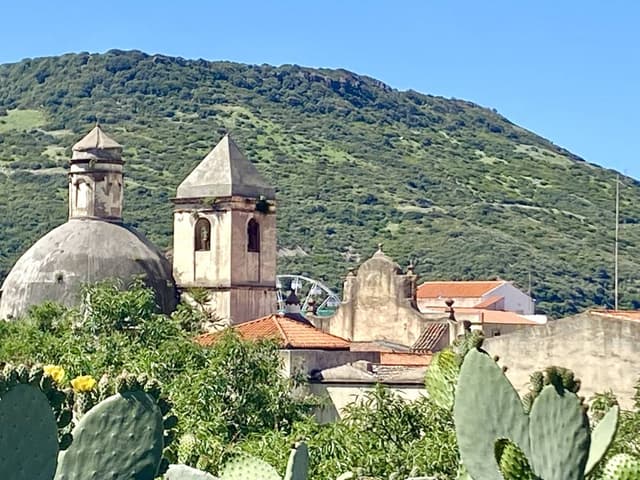 Photo 6 by Peter G. (5/19/25)