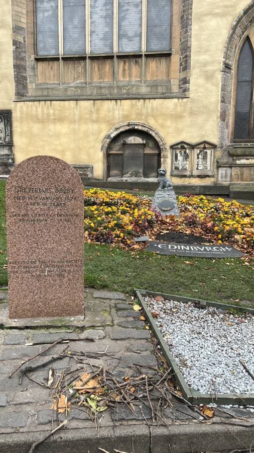 Photo 5 by Marina P. (11/1/22)