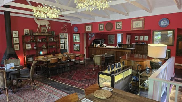 Photo 5 by Michael W. (4/12/25)