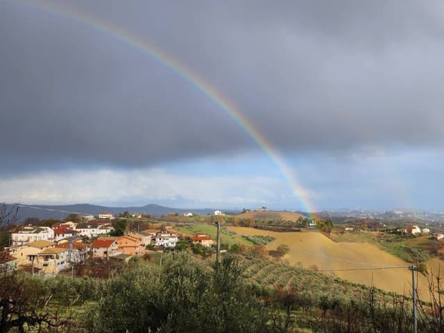 Photo 5 by Dante F. (1/2/25)