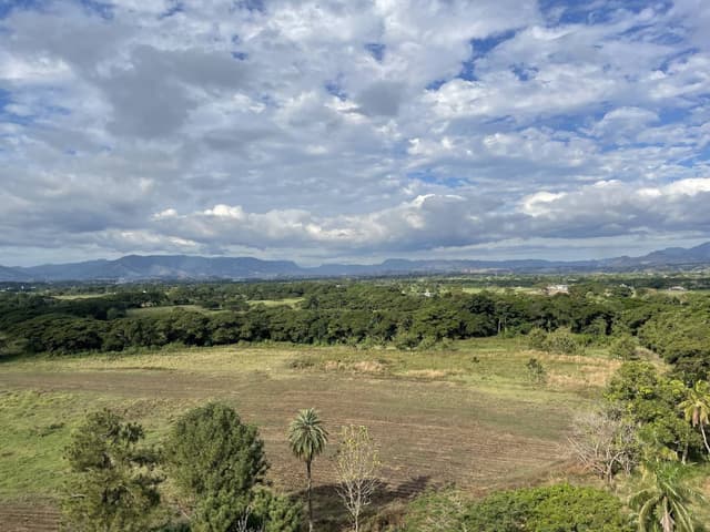 Photo 3 by Cecilia L. (7/30/25)