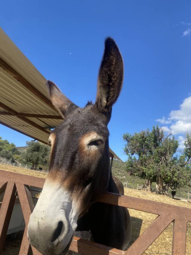 Photo 1 by Stewart L. about hiring a Mazda Demio in Cyprus (22/10/25)