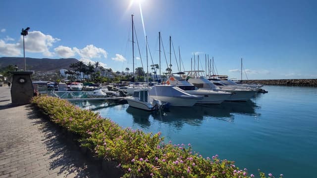 Photo 1 by Nathan K. (9/3/24)