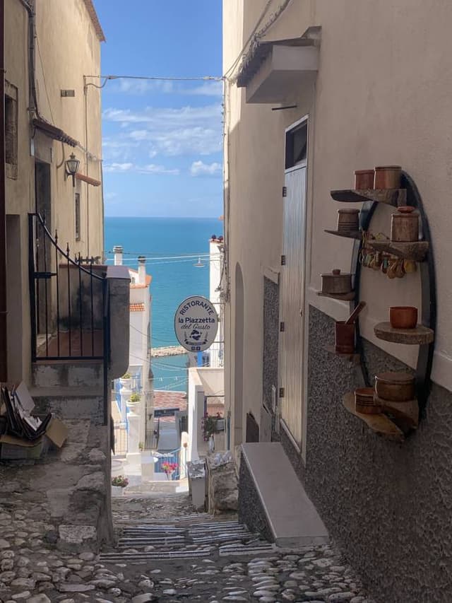 Photo 1 by Adrian G. (9/29/25)